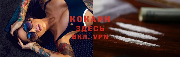 соль ск Алзамай