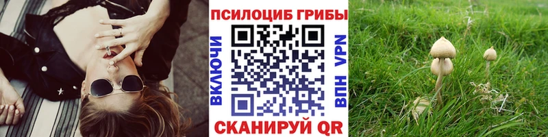 Псилоцибиновые грибы мицелий  что такое наркотик  Льгов 